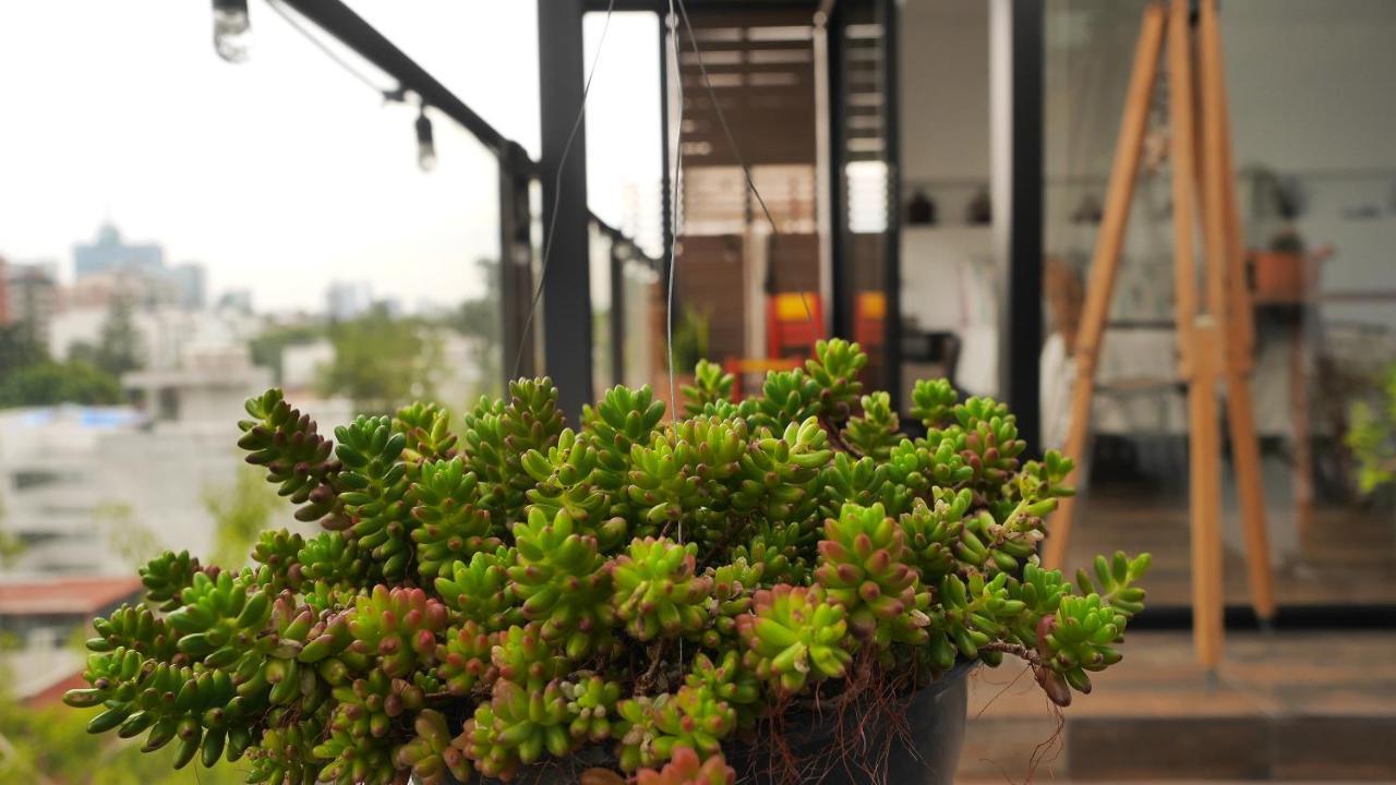 Loft Remedios - Penthouse Cdmx - Areas Comunes Compartidas 墨西哥城 外观 照片
